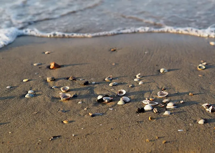 Апартаменти With Pool View-beahost